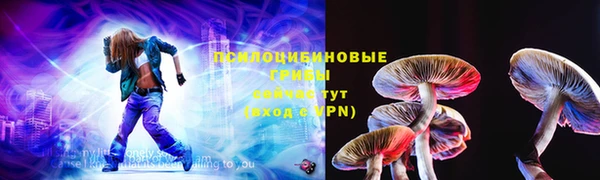прущий лед Богородск