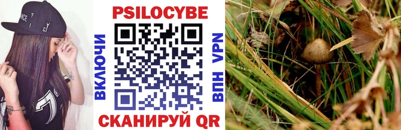 где найти наркотики  Кодинск  Галлюциногенные грибы GOLDEN TEACHER 